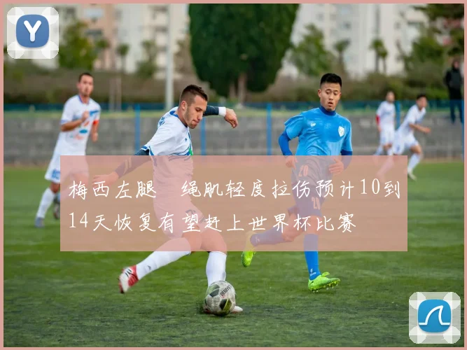 梅西左腿腘绳肌轻度拉伤预计10到14天恢复有望赶上世界杯比赛