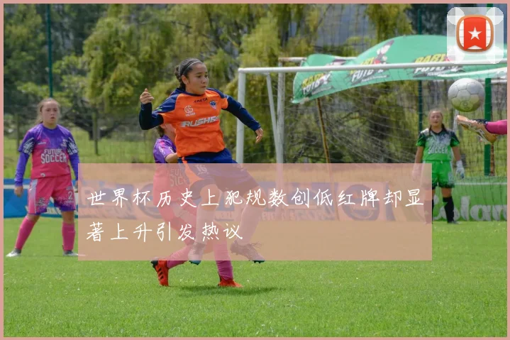 世界杯历史上犯规数创低红牌却显著上升引发热议